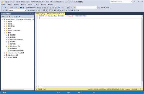 SQL Backup Database 的图像结果