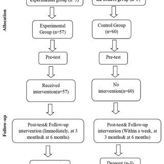 Data Collection Process 的图像结果