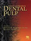 Buy Seltzer and Bender's Dental Pulp Book Online at Low Prices in India ...