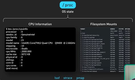 Image result for Linux File System Bytebytego