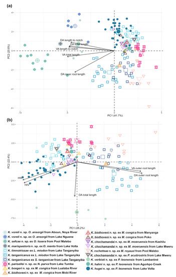 From the Atlantic Coast to Lake Tanganyika: Gill-Infecting Flatworms of ...