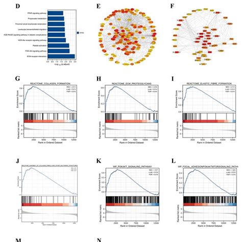 Graphical Abstract Transcriptome 的图像结果