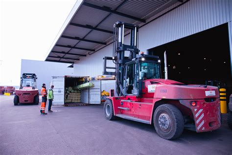 Image result for Importing Container