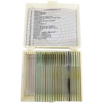 Cole-Parmer Prepared Microscope Slide Set, Protozoa and Algae, Set of ...