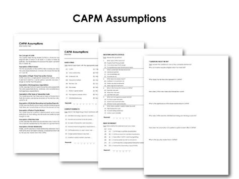 Capm Application Example 的图像结果