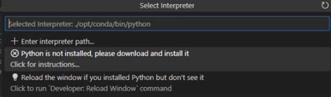 Vscode Debug Python in Docker Container 的图像结果
