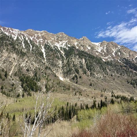 WASATCH-CACHE NATIONAL FOREST (2026) All You Need to Know BEFORE You Go ...