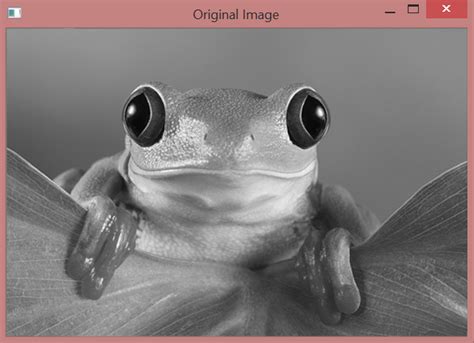 Image result for Gaussian Filter Convolution
