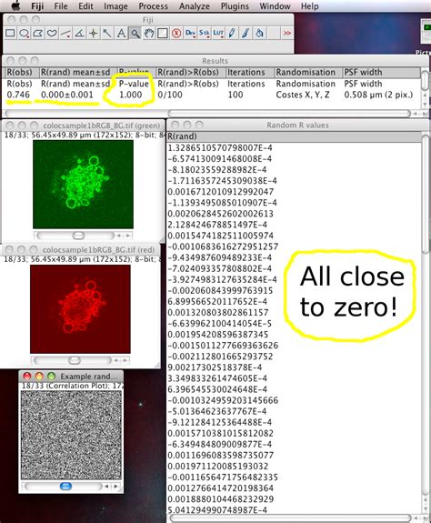 ImageJ Colocalization Analysis 的图像结果