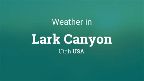 Local Weather Report 的图像结果