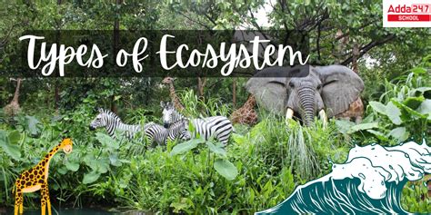 Types of Ecosystems, Diagram, Structure, Different Components