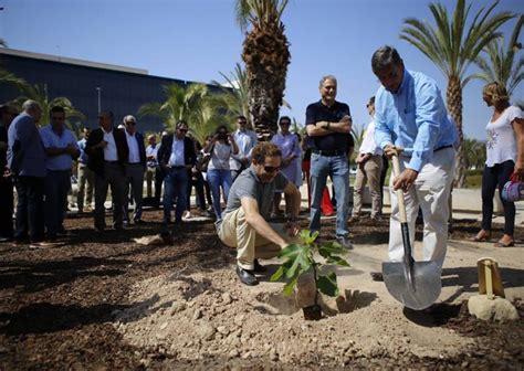 Universidad Miguel Hernández (UMH) (Alicante, Spain)
