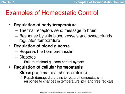 PPT - Homeostasis: Control Systems in Biology PowerPoint Presentation, free download - ID:9170070