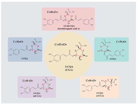 Advances in Pharmacological Properties, Molecular Mechanisms, and ...