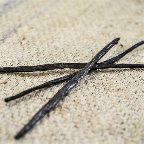 Madagascar Vanilla Beans (3) - Oaktown Spice Shop