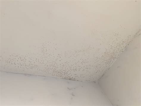 Is this mold/mildew? Is it a concern? (Bathroom Shower Ceiling) - Home ...