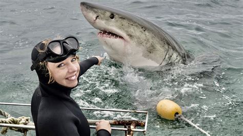 These 8 Places Are Seeing Increasing Shark Sightings & Attacks