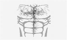 roblox muscle t shirt template png clip transparent roblox muscle template png image with transparent background toppng