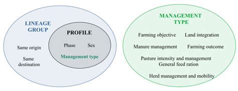 Representing Cattle Farming around the World: A Conceptual and Holistic ...