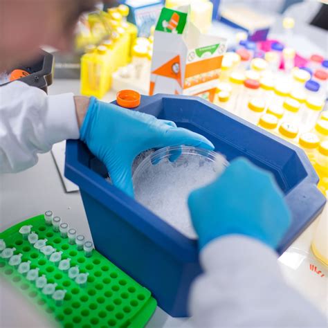 Biomedical sciences Biomedical Research 的图像结果