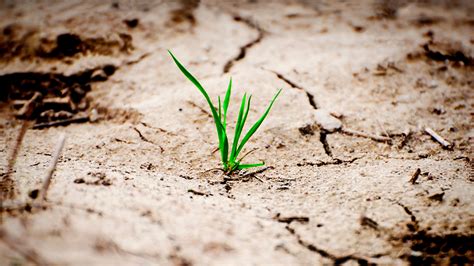 7 Ways to Help Your Trans Singers Survive (and Thrive) Right Now