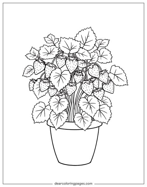 Strawberry Vine Coloring Page 100+ My Melody Coloring Pages (Free PDF