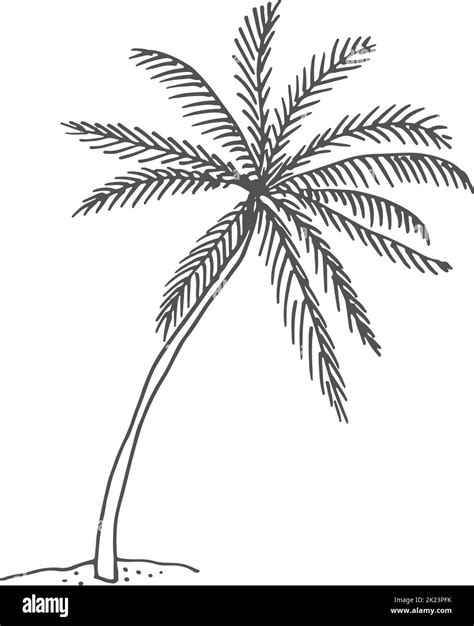 Image result for Simple Palm Tree Drawing