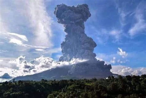 Tonga volcanic eruption most explosive in modern era; sent waves to ...