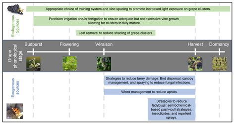 Prevalence and Management of Alkyl-Methoxypyrazines in a Changing ...