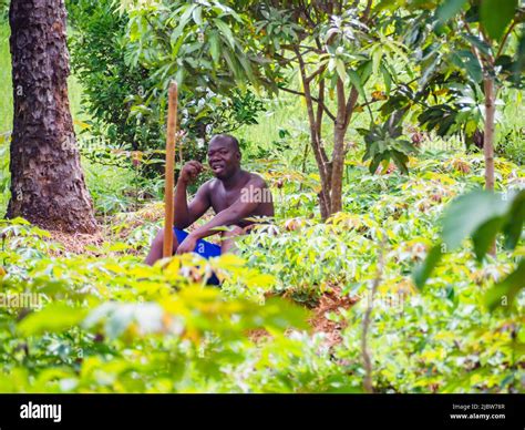 Agriculture In Zanzibar