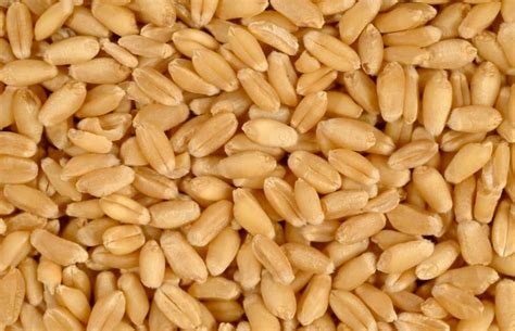 Dart: Detect Adulteration with rapid test