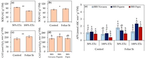 Foliar Silicon Alleviates Water Deficit in Cowpea by Enhancing Nutrient ...