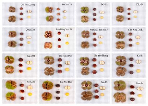 Plants | Special Issue : Genetic Diversity, Germplasm Resources and ...