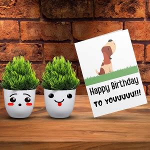 Kawai Homes Artificial Plant Cute Bushy Shrub with Pot for Office Décor ...