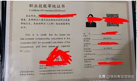 电子商务师证书样本|新闻动态-青州亿盛电子商务有限公司