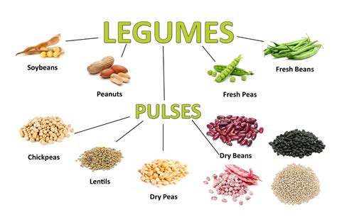 Legumes and pulses - Later On