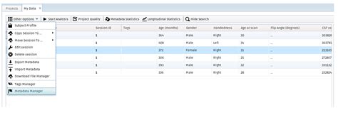 Metadata Manager 的图像结果