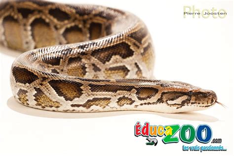 ÉDUCAZOO QC (2025) All You Need to Know BEFORE You Go (with Photos ...