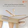 Buy Orient Electric 1200 mm Laurel| 100% Copper motor| High-speed ...
