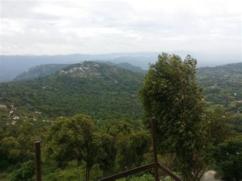 Swamimalai Hills (Yelagiri) - 2019 What to Know Before You Go (with ...