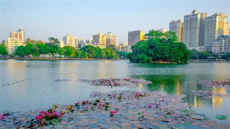 Huizhou Travel Guide | Huizhou Tourism - KAYAK