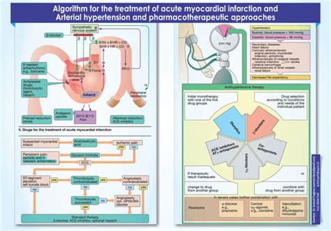 Museum - Vasantidevi Patil Institute of Pharmacy