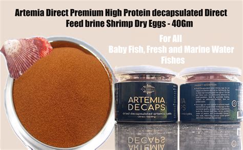 VAYINATO Artemia Direct Premium High Protein decapsulated Direct Feed ...