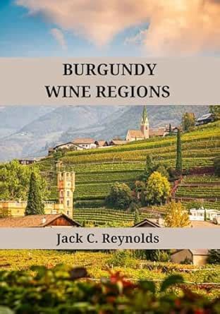 Burgundy wine Regions : An expert's guide to Burgundy's wine regions ...