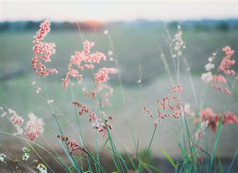 Flower & Soul: Dispensary in Halifax, Massachusetts