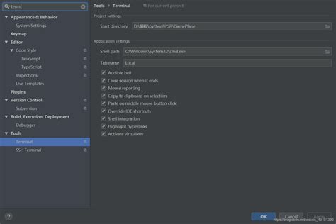 PyCharm Terminal 的图像结果