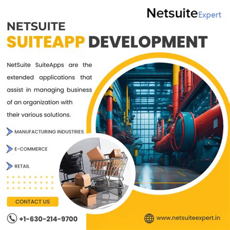 NetSuite Development 的图像结果