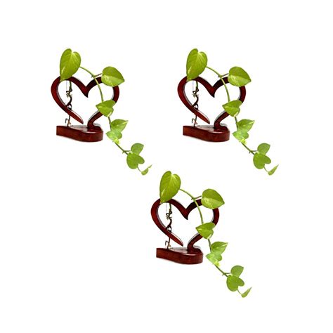 WAI Antique Wooden Flower vase Table Planter /Propagation Glass Tube ...