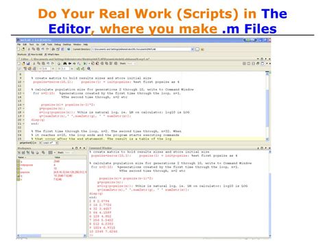 MATLAB Programming 的图像结果