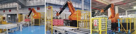 Image result for Automatic Palletizer Machine